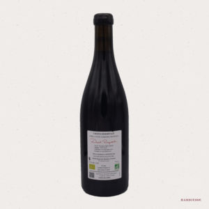 Alternative view of David Reynaud - Les Monestiers 2023