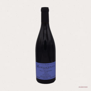 Domaine Sylvain Pataille - Les Longeroies 2022