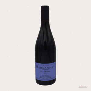 Domaine Sylvain Pataille - Clos du Roy 2022
