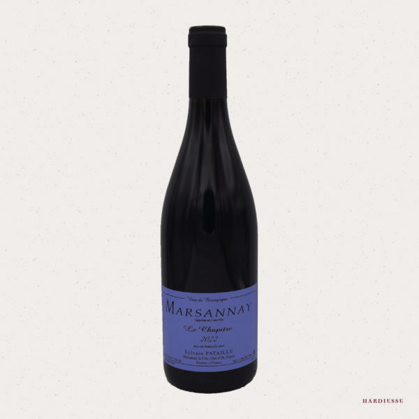 Domaine Sylvain Pataille - Clos du Roy 2022
