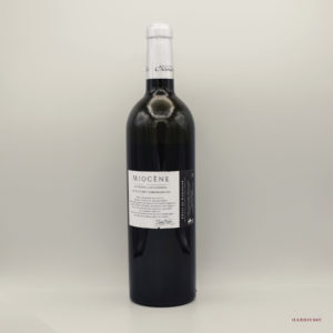 Alternative view of Domaine Chiroulet - Miocène 2020